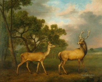 am052D13 animal deer Oil Paintings
